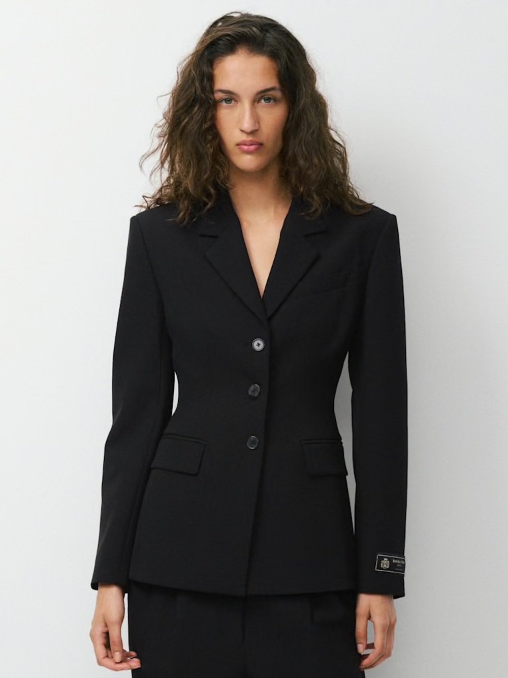 Aritzia Babaton Standout Blazer - Eversentialā¢